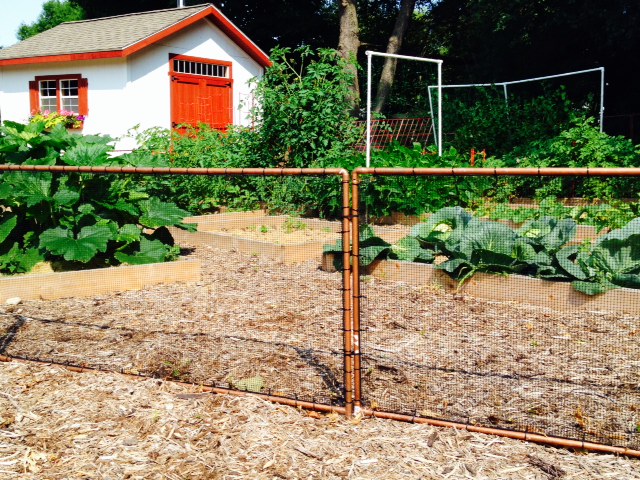 Rabbit Garden Fence