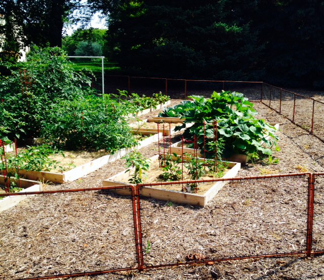 Garden Fence